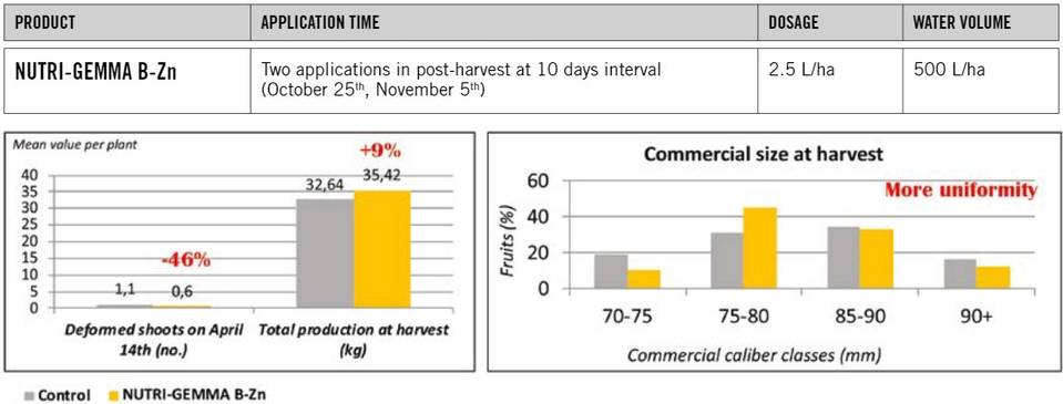 Biolchim NUTRI-GEMMA boron zinc glycine betaine